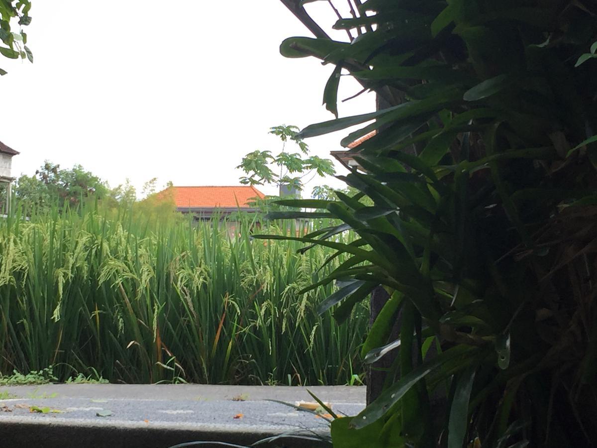 Depong House Apartment Ubud Exterior foto